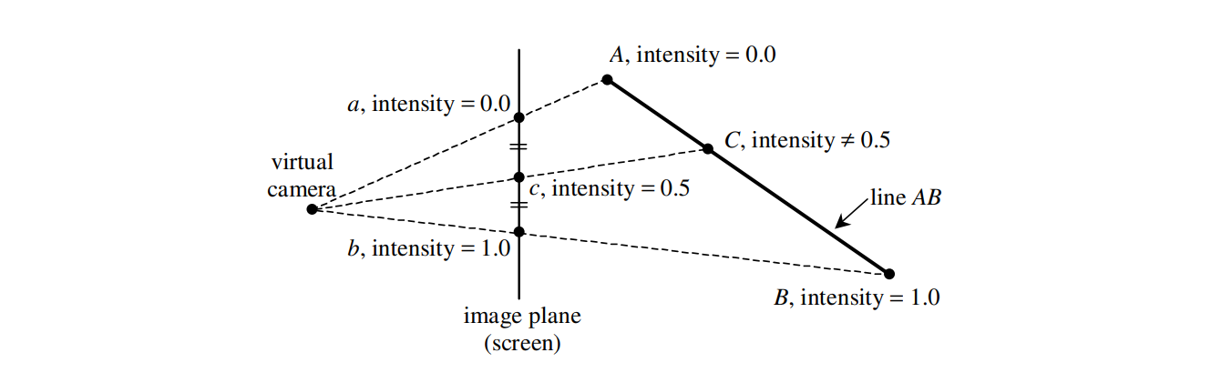 Perspective Interpolation Error